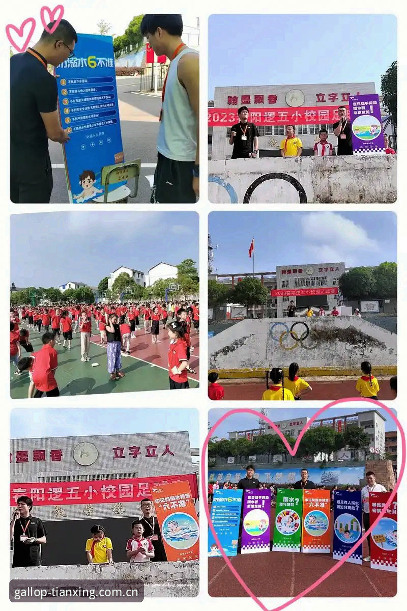 天行体育登录入口实用技巧：2026新版快速上手与安全指南
