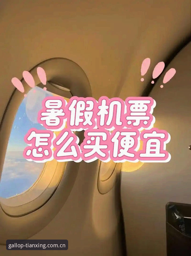 天行体育平台2026新版体验报告：登录入口与功能全面评测