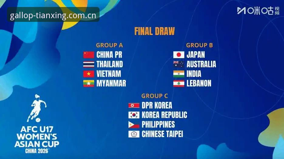 U17世界杯抽签深度解析：中国足球青训的机遇与挑战